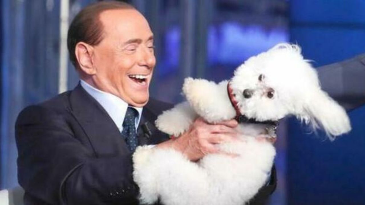 Che fine ha fatto Dudù, la cagnolina di Silvio Berlusconi?