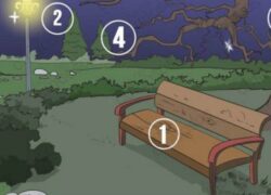 quiz che rivela molto su di te