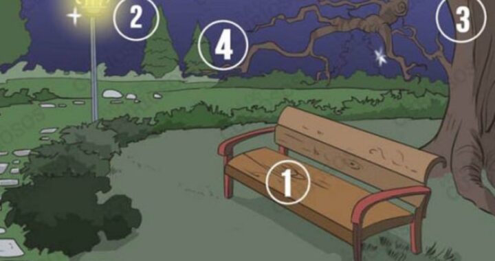 quiz che rivela molto su di te