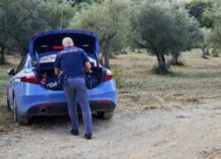 Morto sul lavoro Gianluigi Ragni