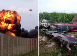 Freccia Tricolore bambina di 5 anni