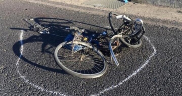bici padre