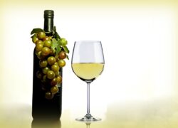 uva bottiglia vino