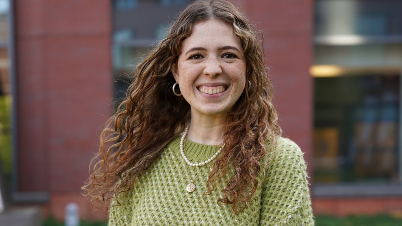 morta limonata Sarah Katz