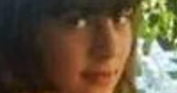 arancha cani