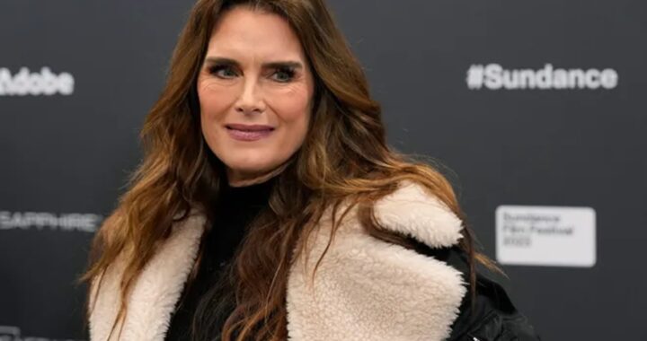 Brooke Shields ricoverata