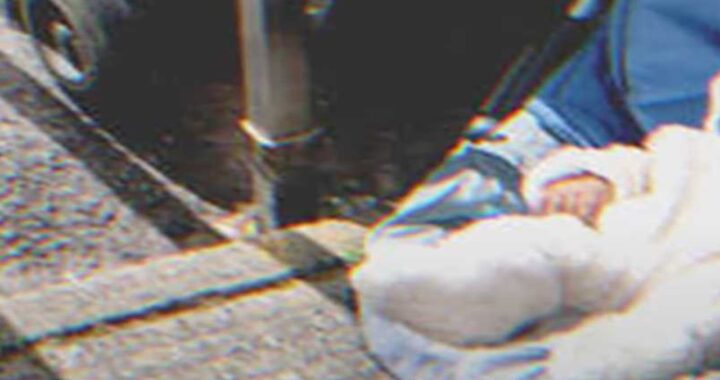 bambino abbandonato nel cassonetto