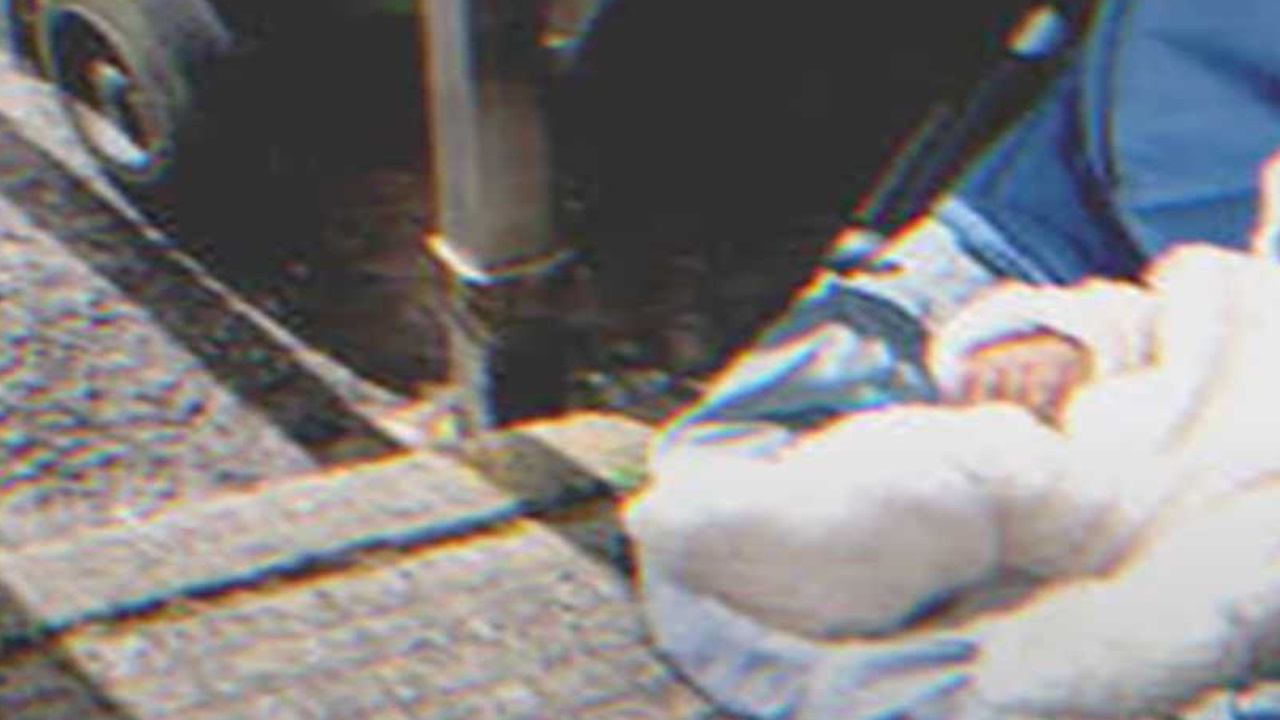 bambino abbandonato nel cassonetto