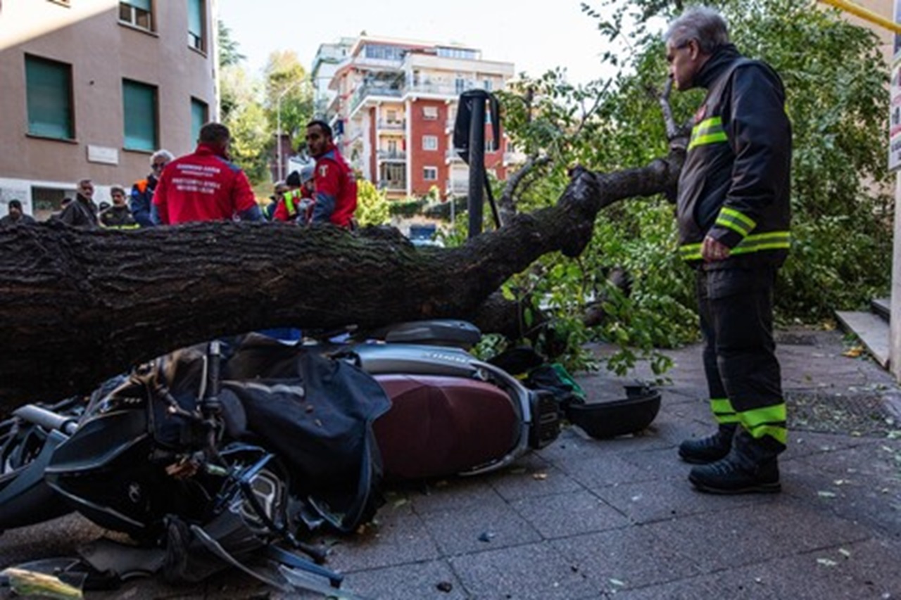 albero caduto a Roma