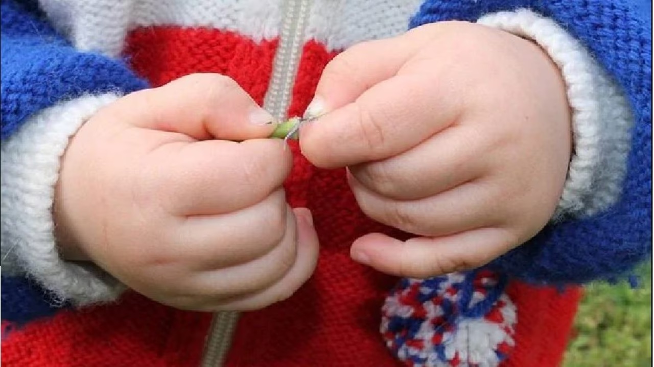 Nicolò Feltrin, deceduto a due anni per la pasta al ragù con droga data dal padre per farlo dormire