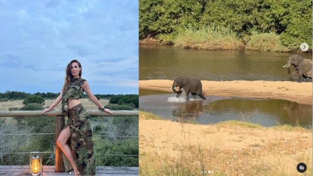 Ilary Blasi in una riserva naturale in Africa: quanto costa l’esperienza tra leoni e rinoceronti
