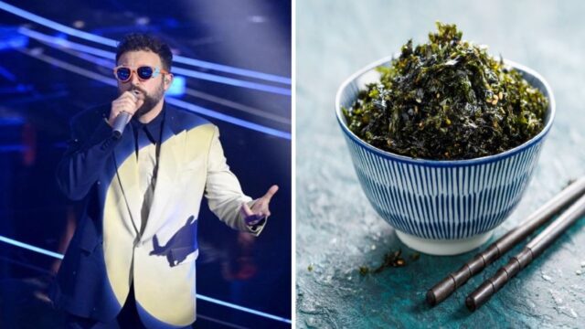Sanremo24, cos’è e a che serve l’alga che Dargen D’Amico mangia prima di salire sul palco di Sanremo