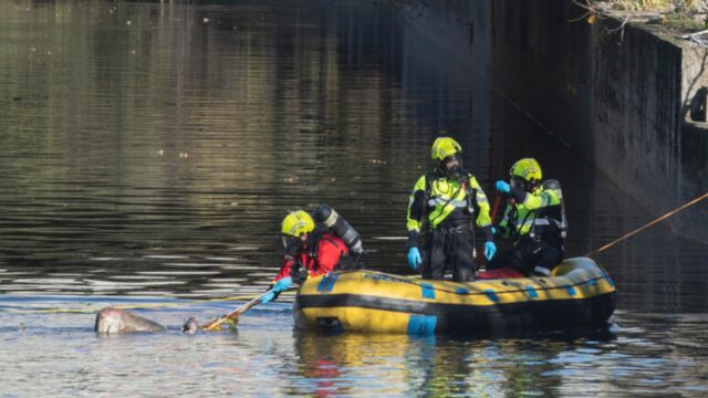 Ritrovata morta la donna di 86 anni, scomparsa da domenica: era nelle acque del canale Bissato