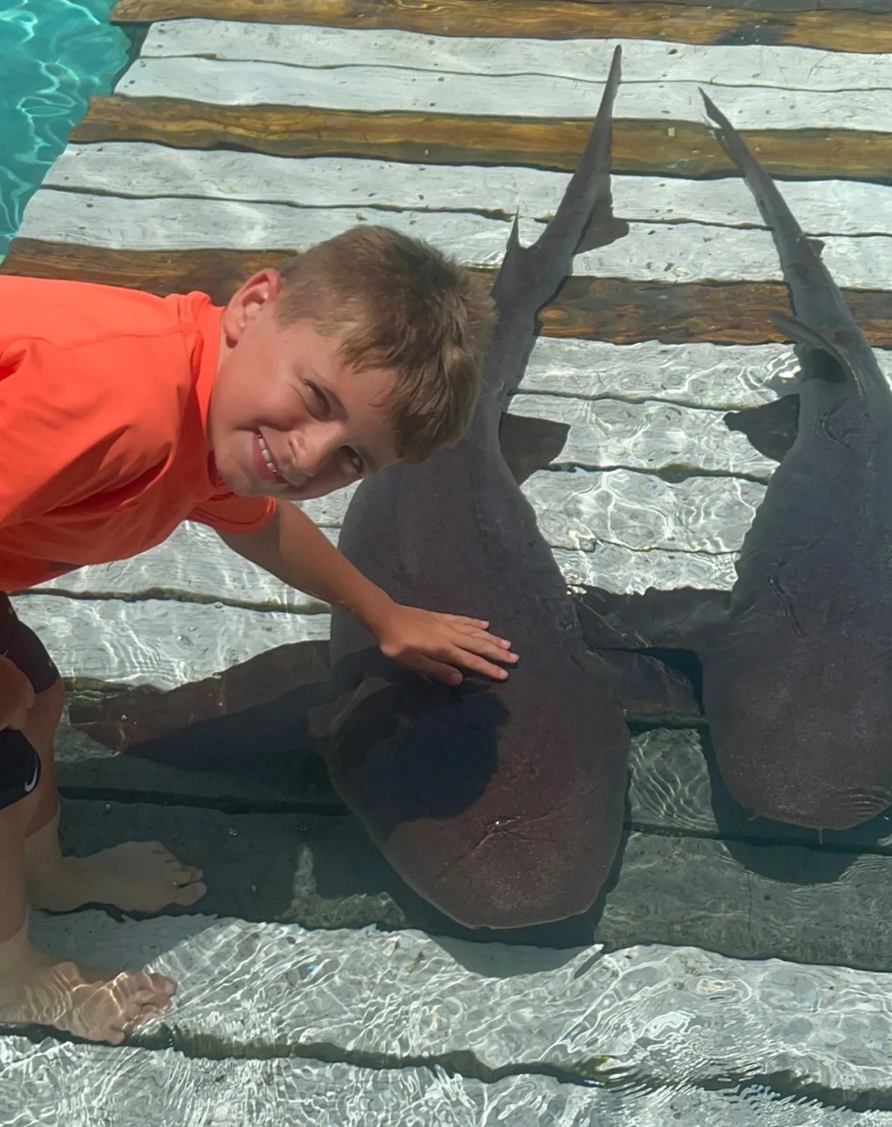 bambino attacco squali