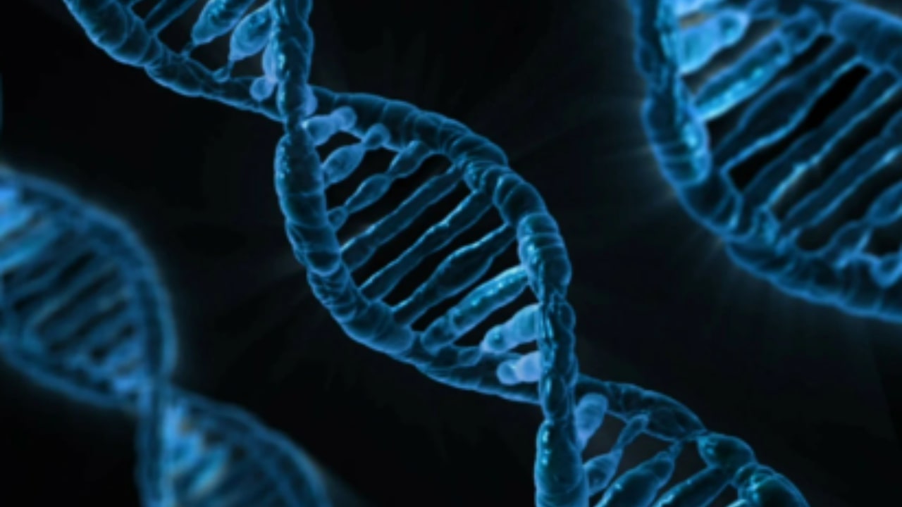 Test del DNA risolve il mistero