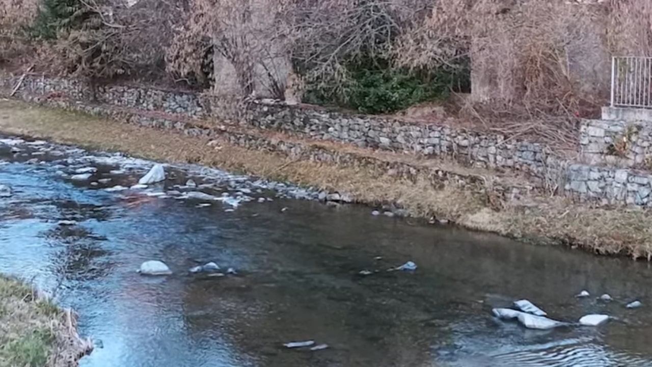 Pania Chhom cerca di salvare il suo cane ma muore annegato