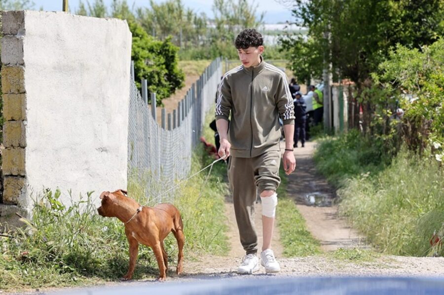 cosa succederà ai pitbull di Eboli