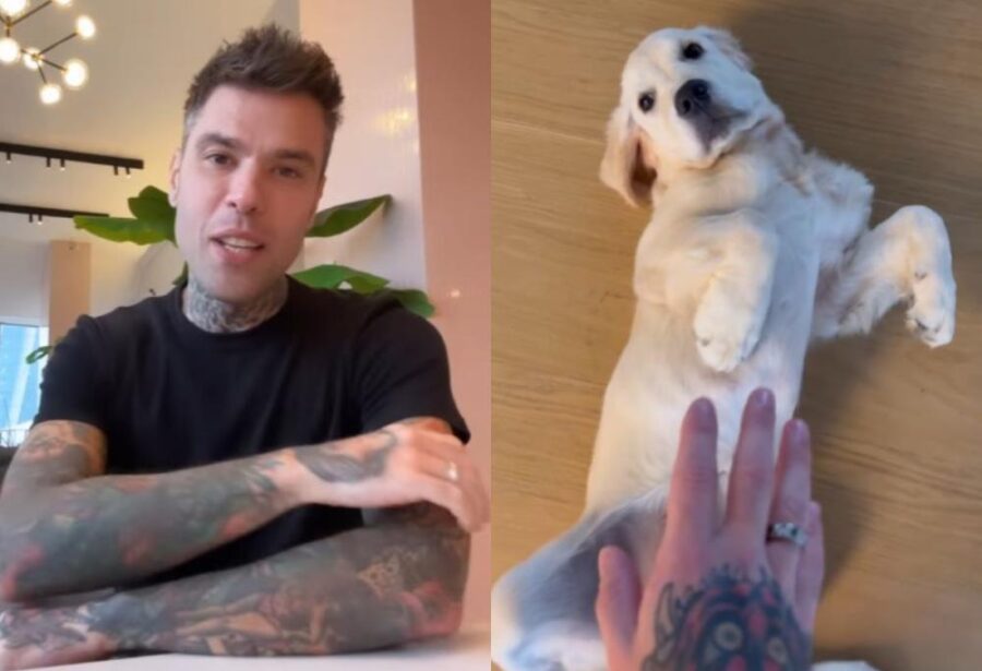 Fedez e il mistero della sua amata Paloma