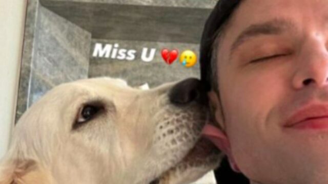 “Mi manchi tanto” il mistero di Paloma, dov’è finito il cane di Chiara Ferragni e Fedez? Gli utenti sono preoccupati