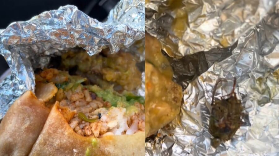 Ragazze trovano un insetto nel burrito