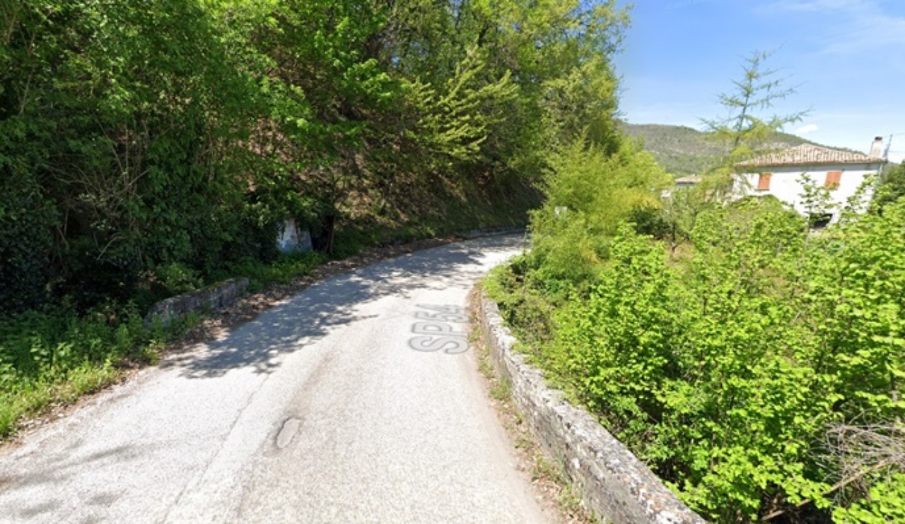 Stefano Velea falls from a bridge