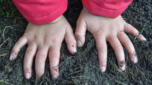 È morta la bambina scomparsa e poi trovata priva di sensi nel bosco: aveva solo 6 anni
