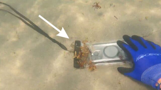 Sub trova un iPhone durante un’immersione: la sua reazione è inaspettata