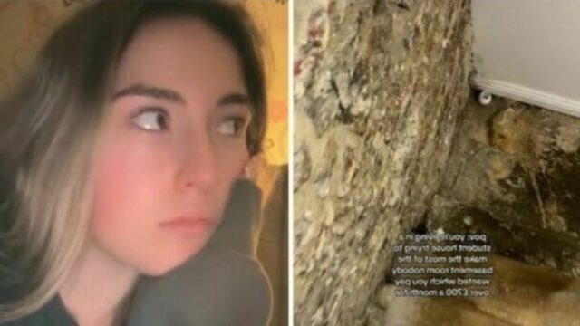 Studentessa affitta una camera per 800 euro al mese, poi mostra in un video il tour sconvolgente: gli utenti commentano così