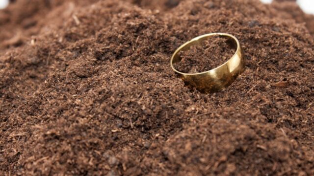 Uomo trova una fede nuziale nel bosco e decide di cercare il proprietario: “Di certo non immaginavo quello che sarebbe accaduto dopo aver suonato a quella porta”