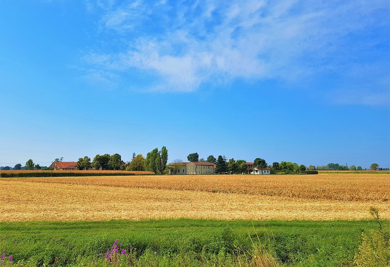 azienda agricola