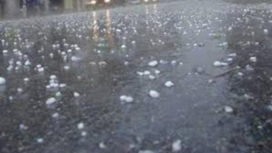 allerta meteo