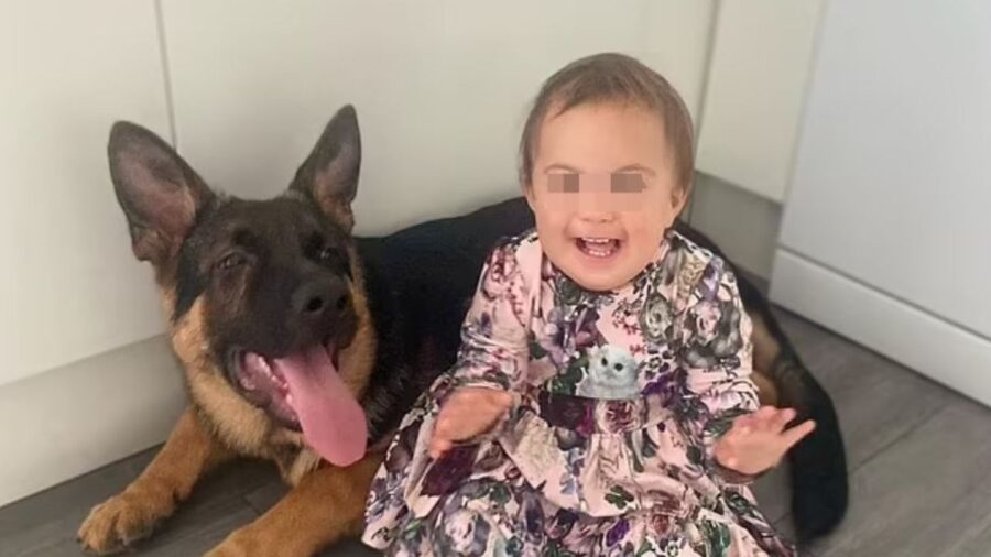 Bambina di 2 anni muore di sepsi