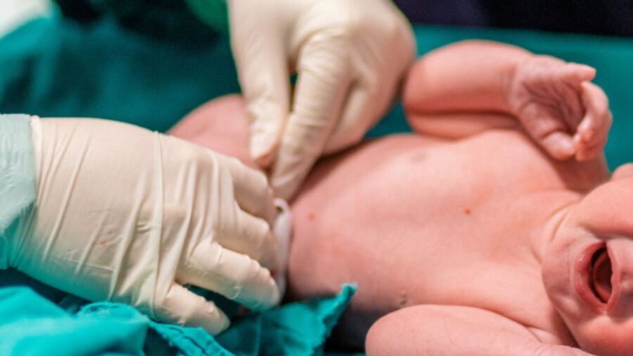 bimbo di 6 mesi