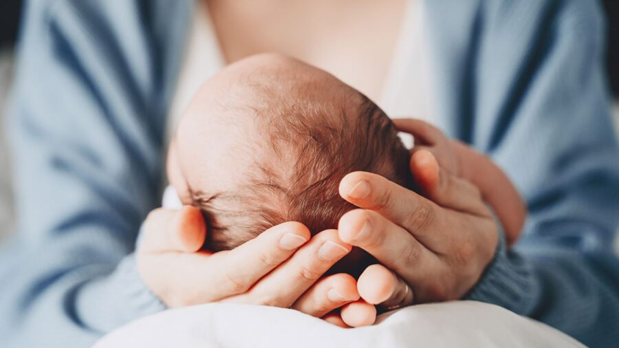 bimbo di 6 mesi
