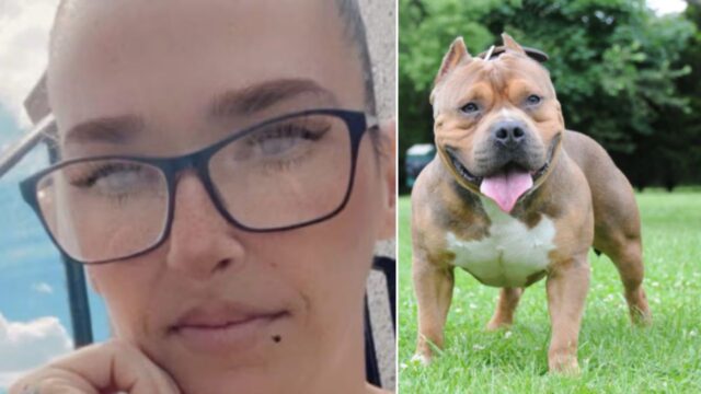 Giovane mamma uccisa dal proprio cane, la dinamica di ciò che è successo è molto grave, lascia due figli: dove e cosa è successo