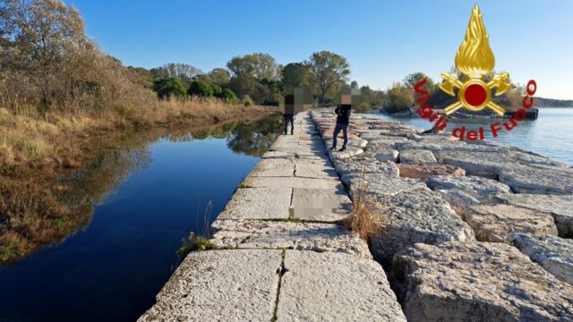 “È emerso dall’acqua, è molto giovane” Giallo al Lido: in corso gli accertamenti per capire cosa stia succedendo
