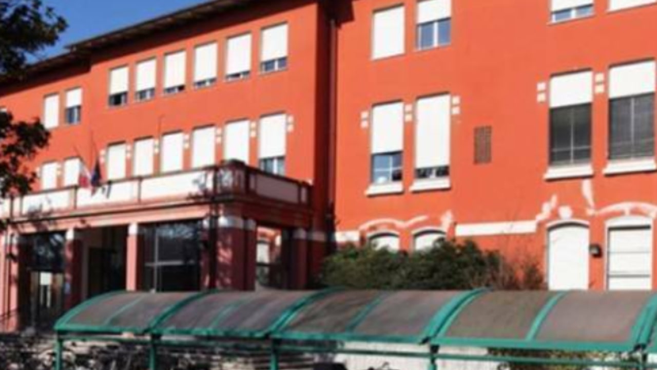 Uomo finisce in ospedale a causa di un ragno violino
