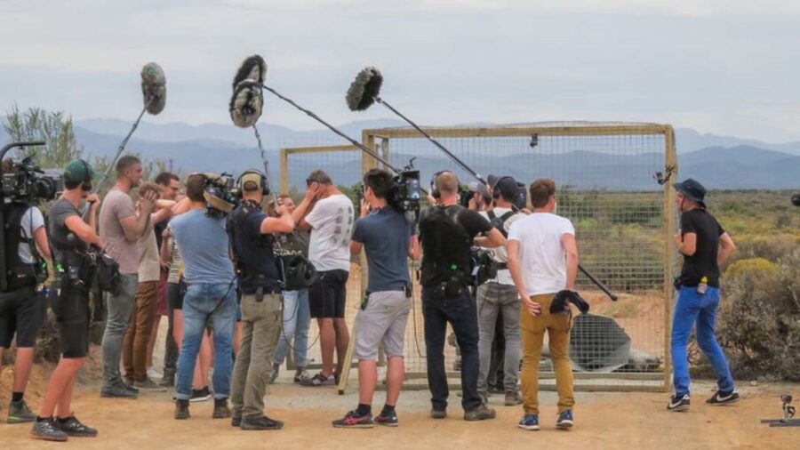 set de la talpa