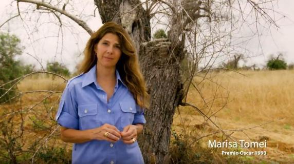 Marisa Tomei porta il messaggio di speranza con il corto “Green Hope” alla Festa del Cinema di Roma