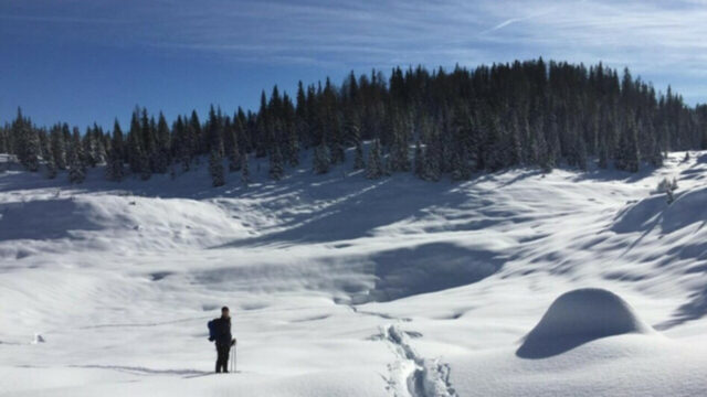 Bambino di 5 anni scompare sulle piste da sci mentre è con il papà: arriva ora l’esito delle ricerche