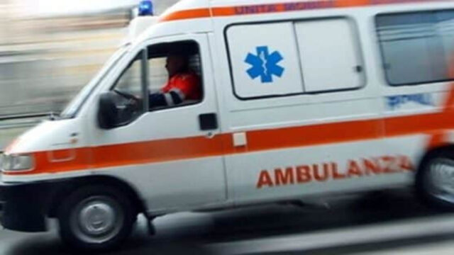 Chi era Francesca, la donna morta schiacciata da una palma a Genova