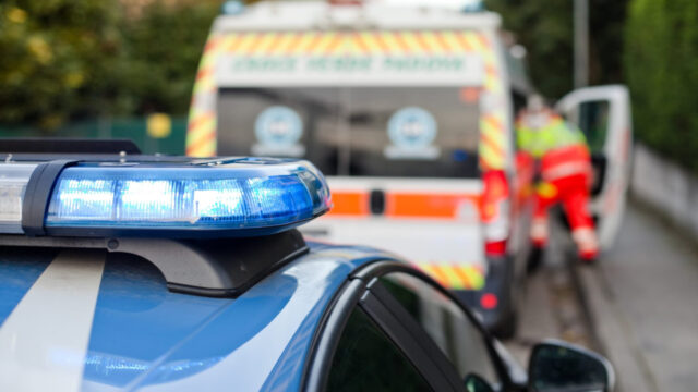 Tragedia nel giardino di casa, per il proprietario dell’abitazione non c’è stato nulla da fare