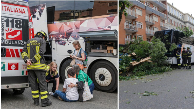 Pauroso incidente in città, bus con bambini a bordo si schianta contro alberi, ci sono feriti