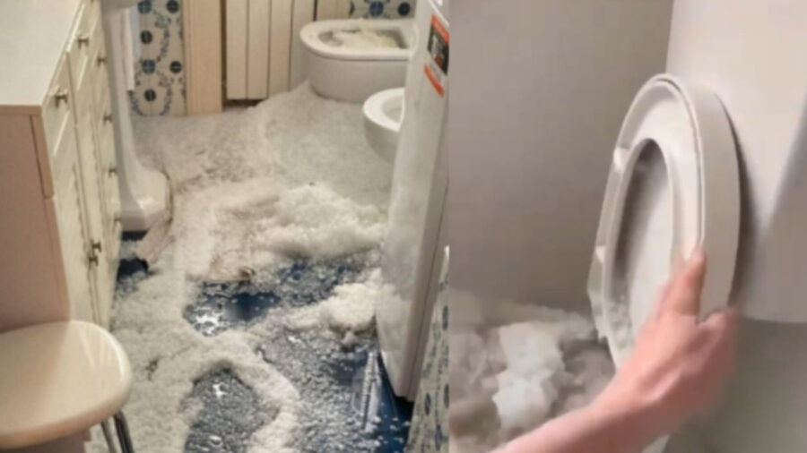“Oddio, sta uscendo dal water” la famiglia italiana si ritrova il bagno così, poi l’incredibile scoperta