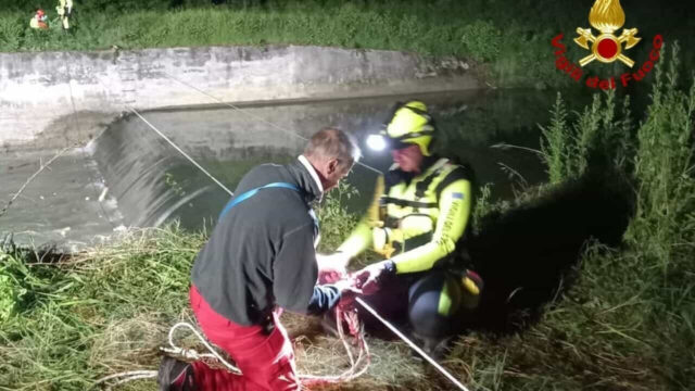 Si tuffa per salvare il cane ma finisce in tragedia, non c’è stato nulla da fare: dove e cosa è successo 