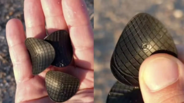 Se passeggiando sulla spiaggia noti questi misteriosi ‘cosetti’ neri ci sono delle cose che devi sapere, cosa fare