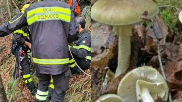 Dramma mentre esce per andare a funghi, la scoperta straziante dei Vigili del Fuoco