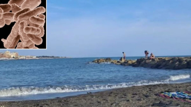 “Non fate il bagno, è pericoloso!”Allerta sulle spiagge Italiane: scattano divieti per i bagnanti