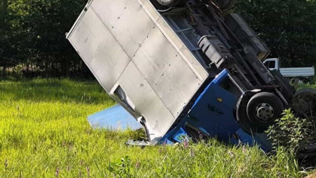 Drammatico incidente, tir si ribalta e finisce in dramma: scappano due tori 