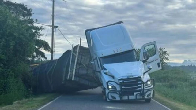 Drammatico incidente per un tir, si ribalta e scappano 14 milioni di api: la situazione è seria 